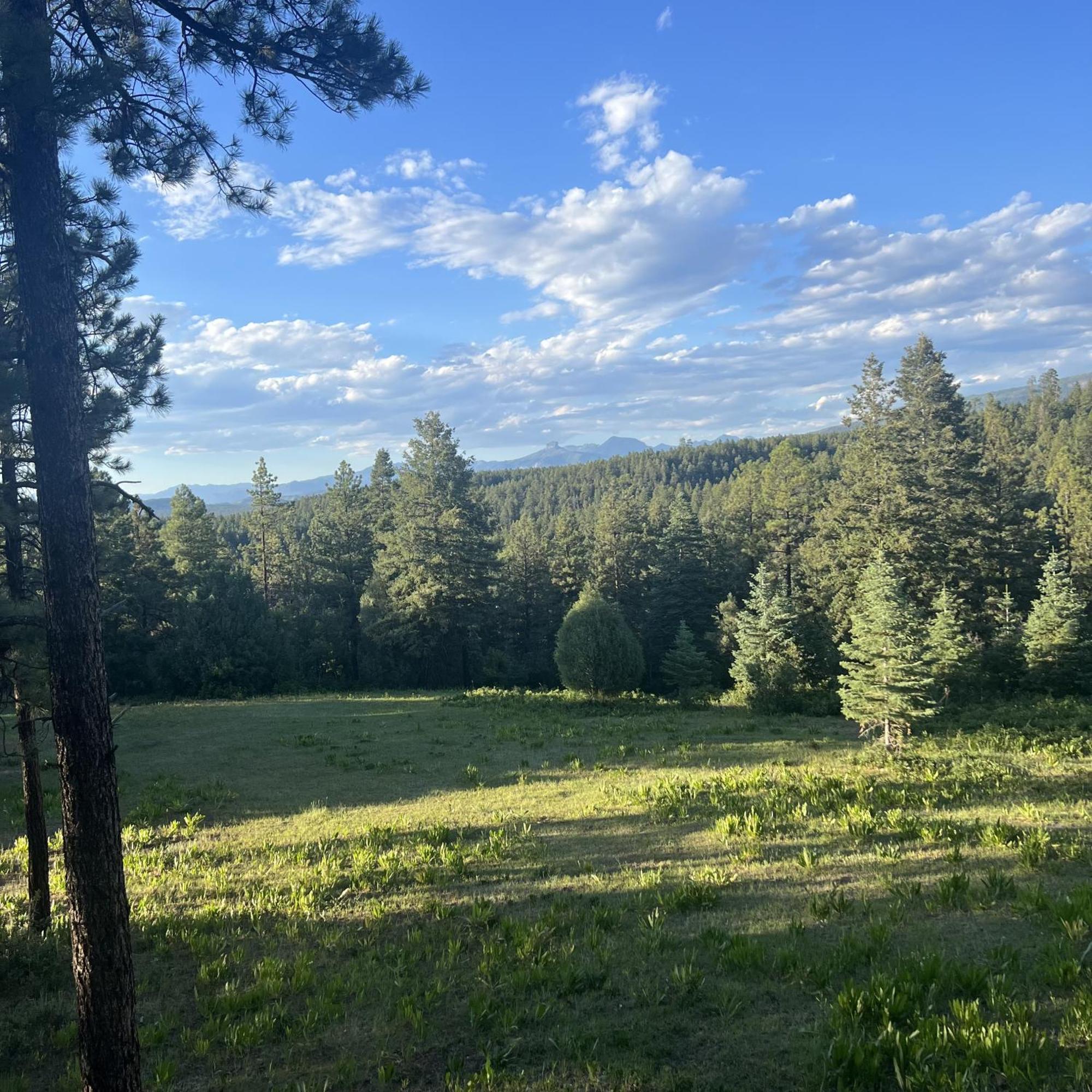 Black Bear Pagosa Springs Esterno foto